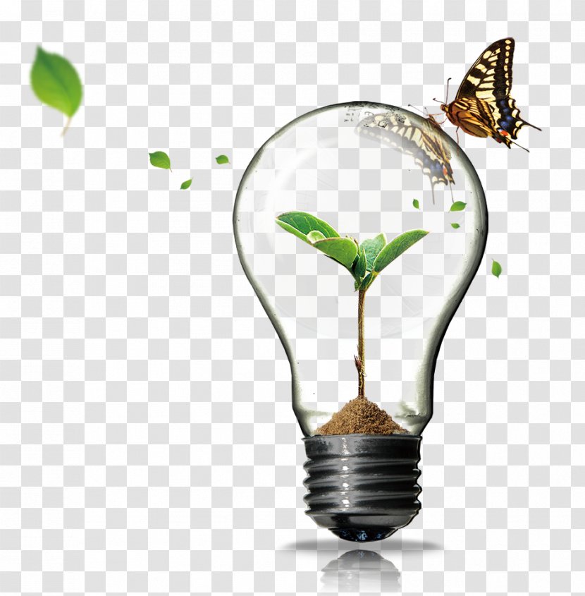 Incandescent Light Bulb Innovation - Creativity - Creative Plant Transparent PNG