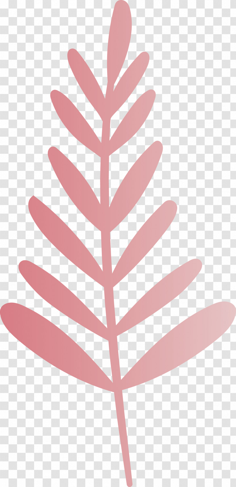 Petal Leaf Pink M Line Meter Transparent PNG