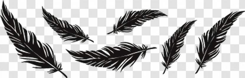 Tattoo Feather Drawing Bird Image Transparent PNG