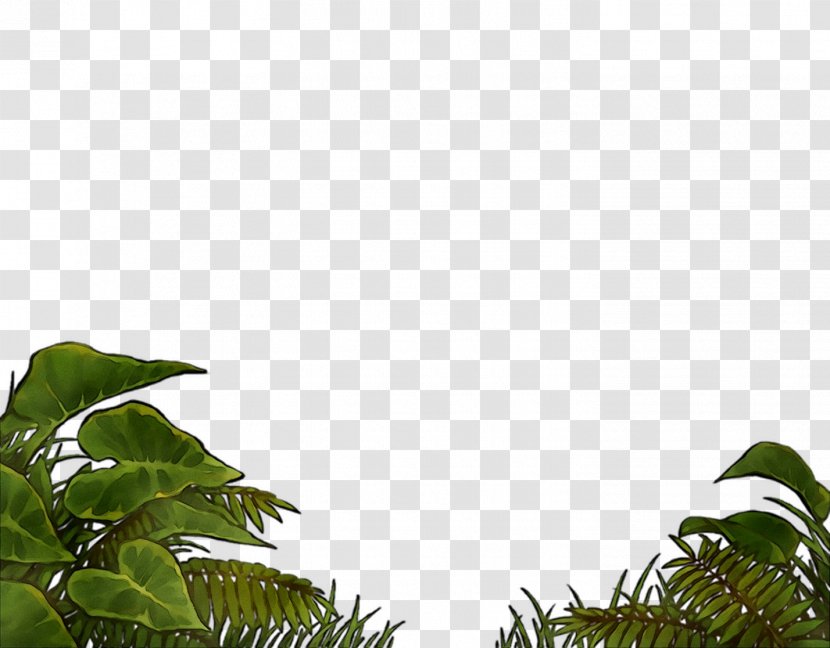 Vegetation Leaf Sky Lawn Plants - Jungle Transparent PNG
