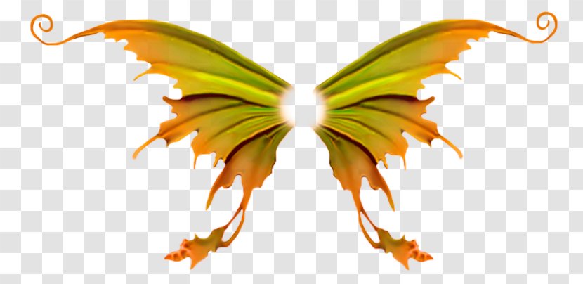 Butterfly Wing - Raster Graphics Editor Transparent PNG