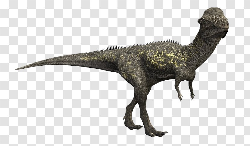 Stegoceras Pachycephalosaurus Late Cretaceous Plateosaurus Dinosaur - Herbivore - 0 Yuan Spike Transparent PNG