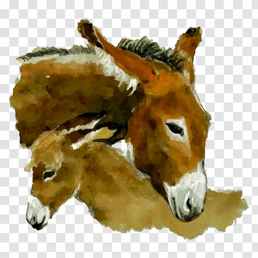 Donkey Watercolor Painting - Livestock - Hand Painted Head Transparent PNG