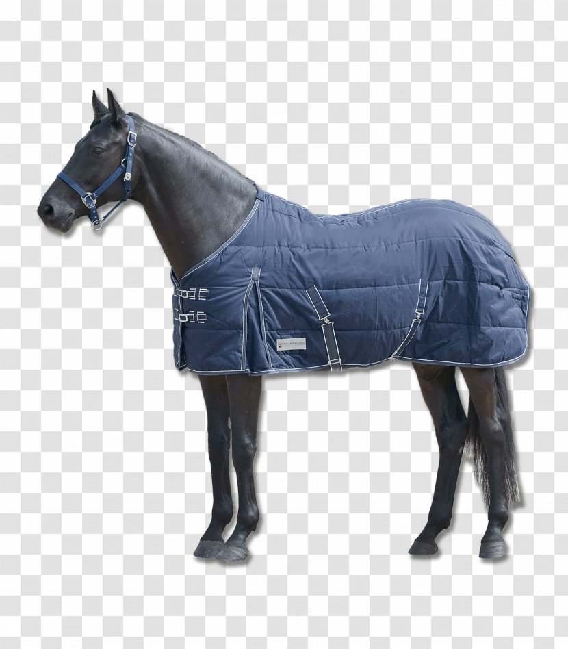 Horse Blanket Equestrian Stable - Mare Transparent PNG