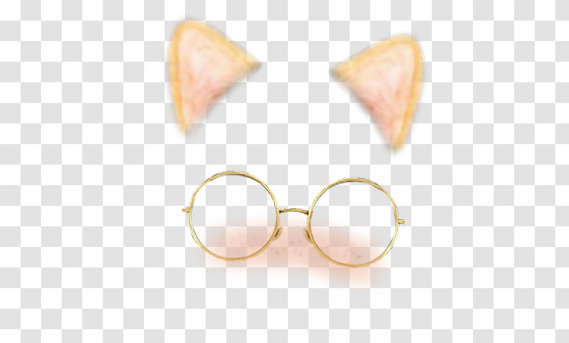 Photographic Filter Editing - Glasses Transparent PNG