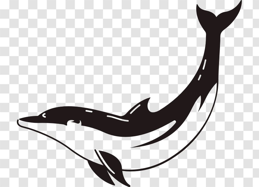 Poseidon Symbol Dolphin Horse Aphrodite - Animal Transparent PNG