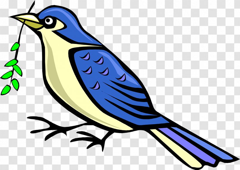 Bird Beak Feather Clip Art Animal - Songbird Transparent PNG