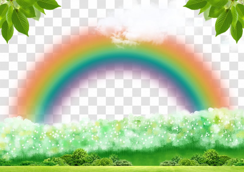 Forest Green Rainbow - Sunlight - Decoration Background Transparent PNG