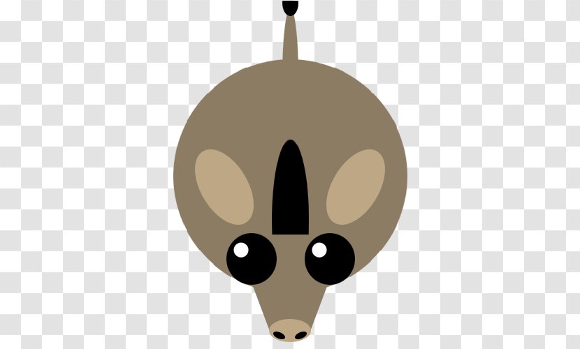 Arctic Hare Wiki Animal Google Sites Images Transparent PNG