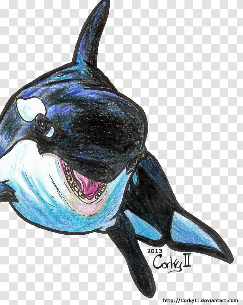 Dolphin Cobalt Blue Marine Biology - Killer Whale Transparent PNG