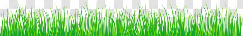 Green - Green, Fresh Grass Transparent PNG