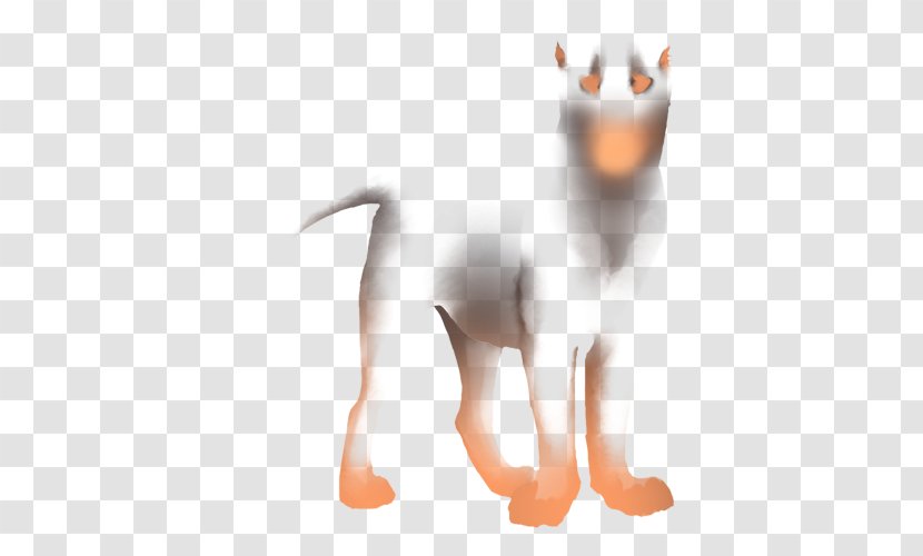 Whiskers Cat Dog Snout Canidae Transparent PNG