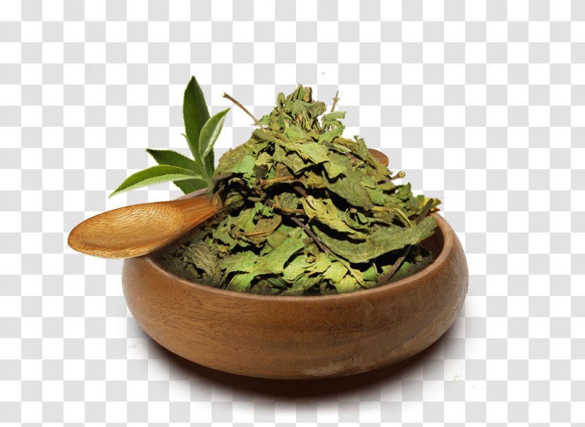 Longjing Tea Herb Flowerpot Plant - Vegetarian Food - Ervas Transparent PNG