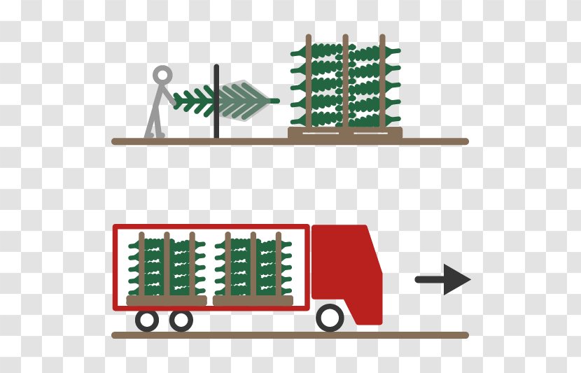 Sauerland Christmas Tree Nordmann Fir Blue Spruce Drawing - Logistics - Baum Des Jahres Transparent PNG