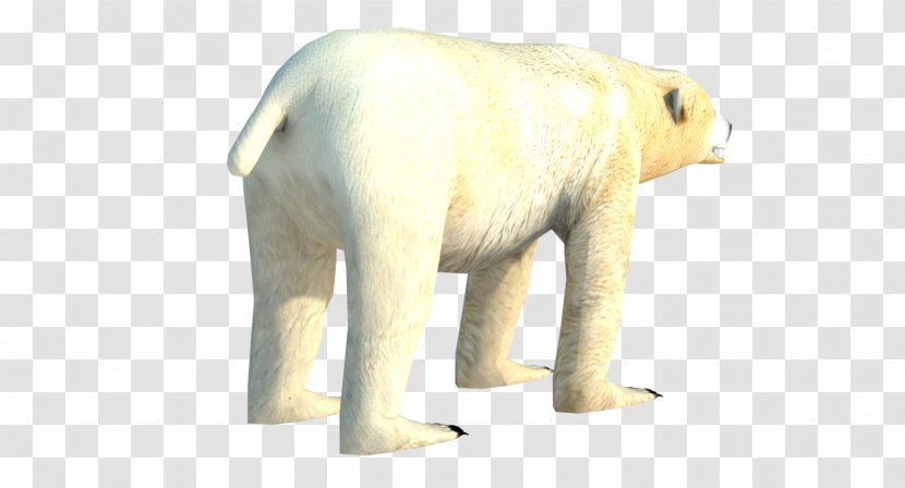 Polar Bear Indian Elephant Wildlife Snout - Mammal Transparent PNG