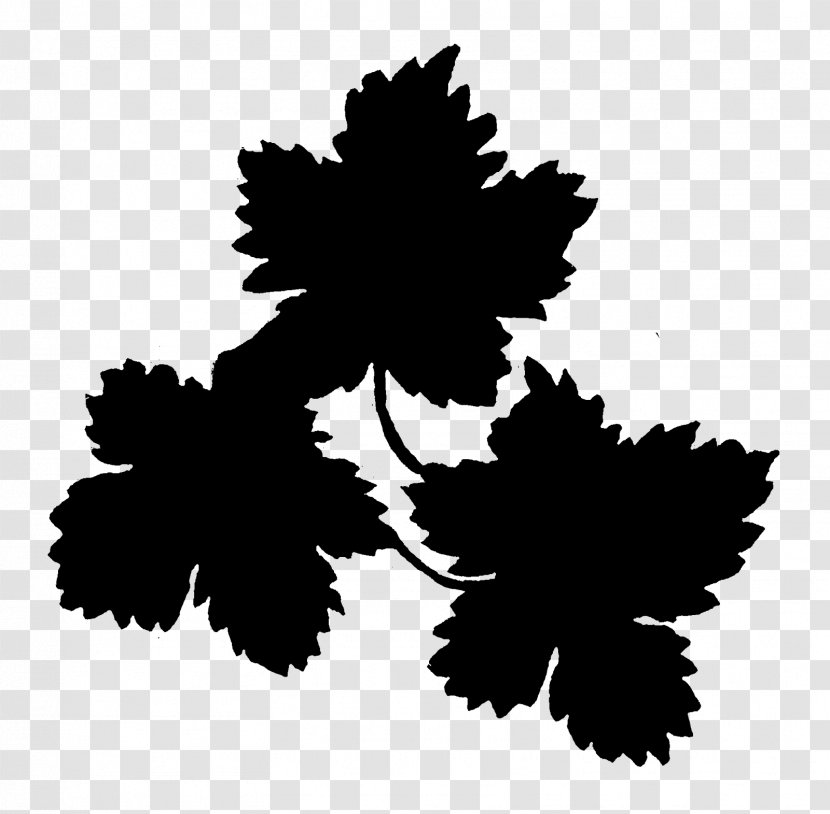 M / 0d Pattern Font Silhouette Flower - Tree - Leaf Transparent PNG