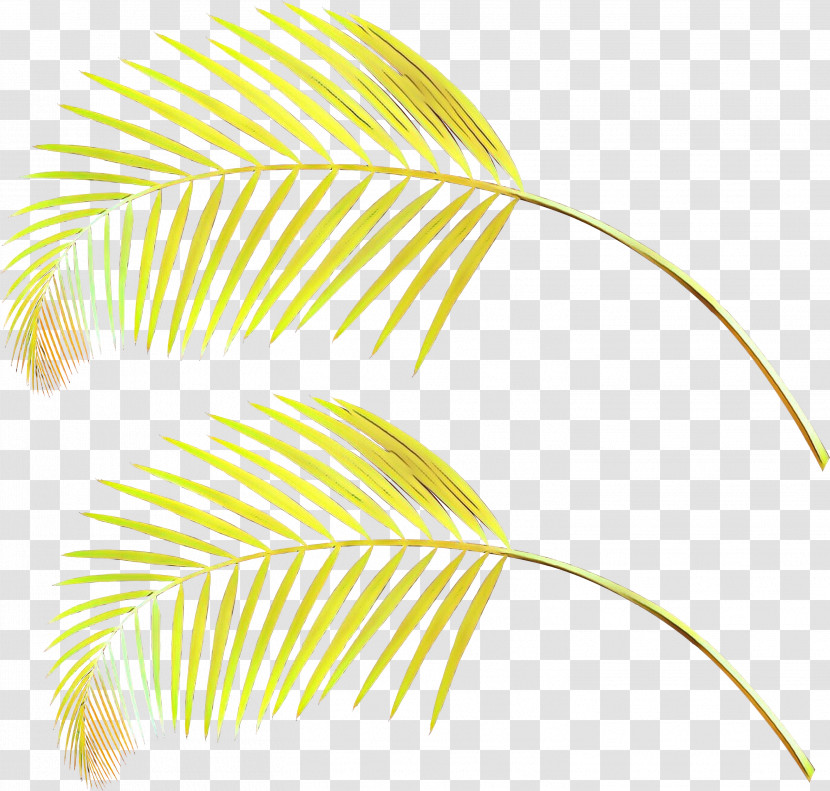 Feather Transparent PNG