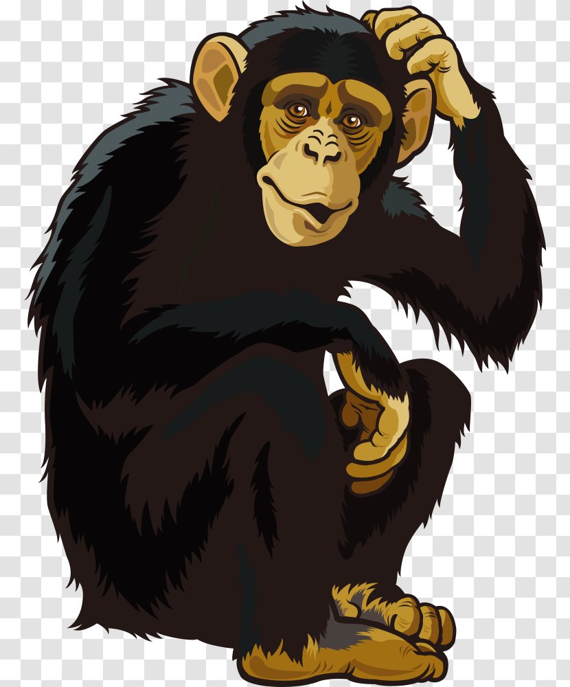 Orangutan Ape Chimpanzee Monkey - Organism - Vector Transparent PNG