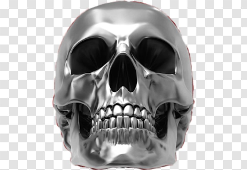 Skull Bone Human Skeleton Image Metal Transparent PNG