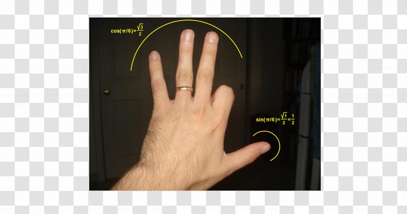 Unit Circle Thumb Sine Trigonometric Functions Hand Transparent PNG