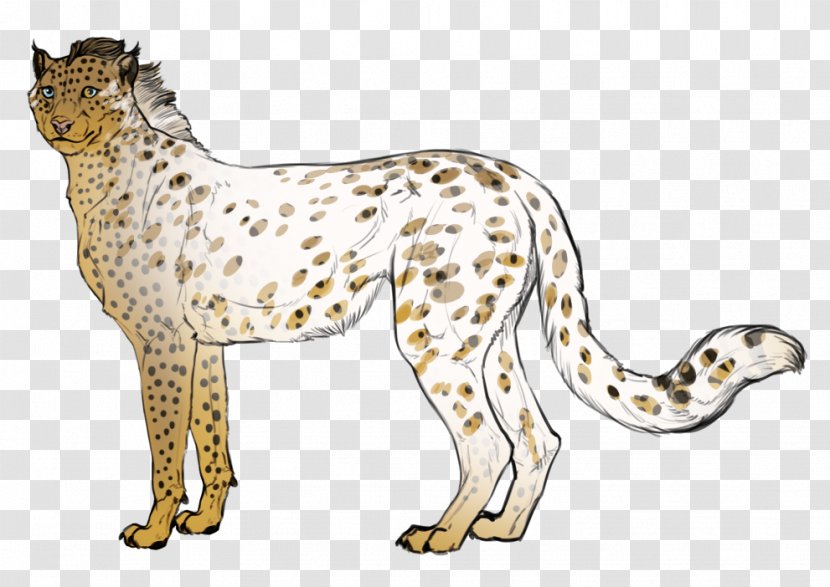 Cheetah Snow Leopard Whiskers Cat Transparent PNG