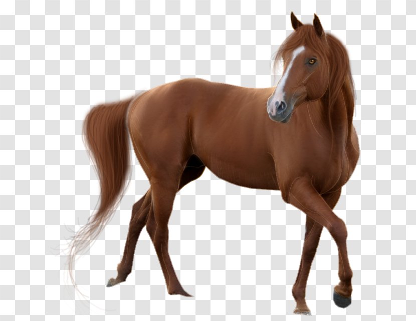 Horse Pixel - Mane - Brown Transparent PNG