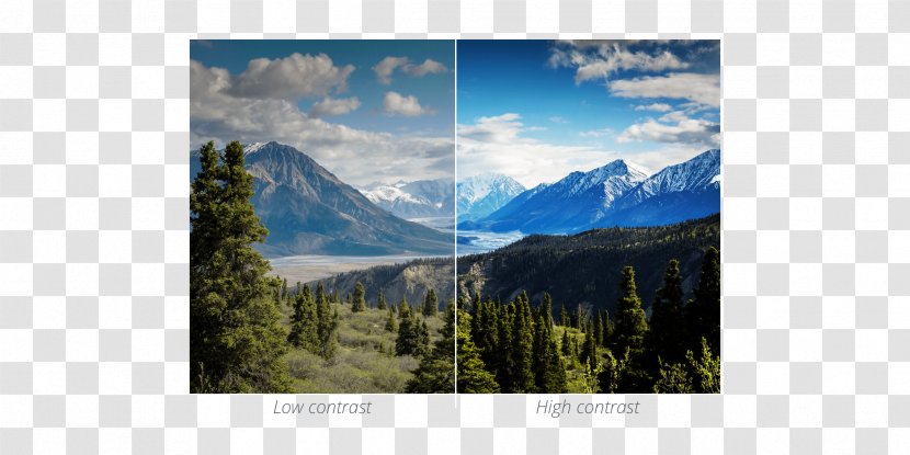 Toronto United States Travel National Park Company - Contrasts Transparent PNG