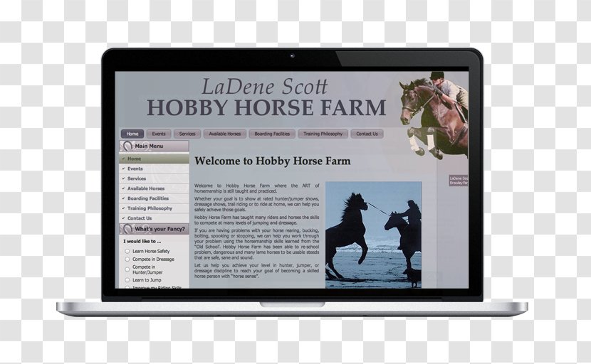 Display Advertising Brand Multimedia - Media - Hobby Horse Transparent PNG