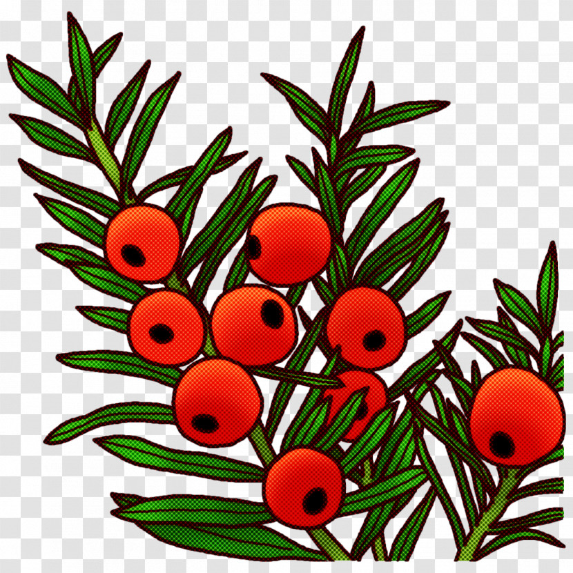 Fruit Tree Transparent PNG