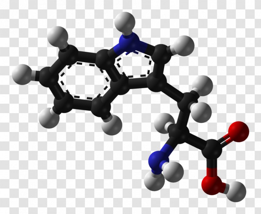 Tryptophan Amino Acid Phenylalanine Stereoisomerism - Structural Formula Transparent PNG