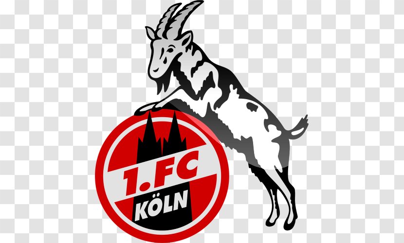 1. FC Köln Bundesliga Cologne Football Regionalliga - Cow Goat Family Transparent PNG