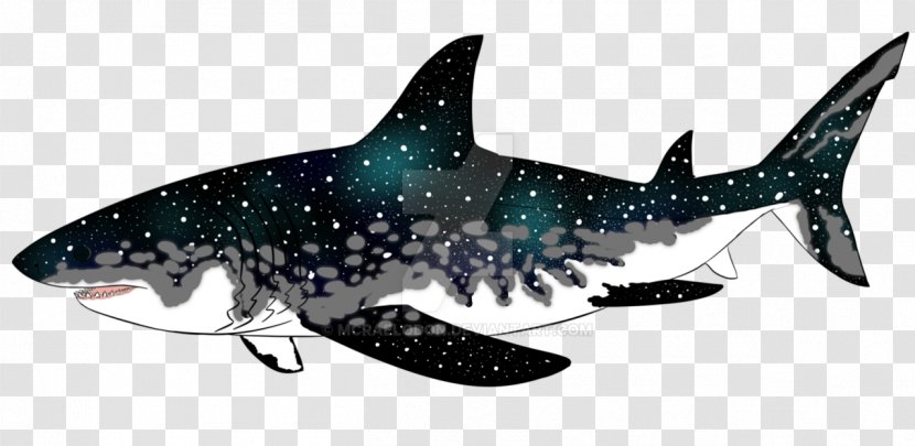 Megalodon Requiem Sharks Animal Marine Biology - Shark Transparent PNG