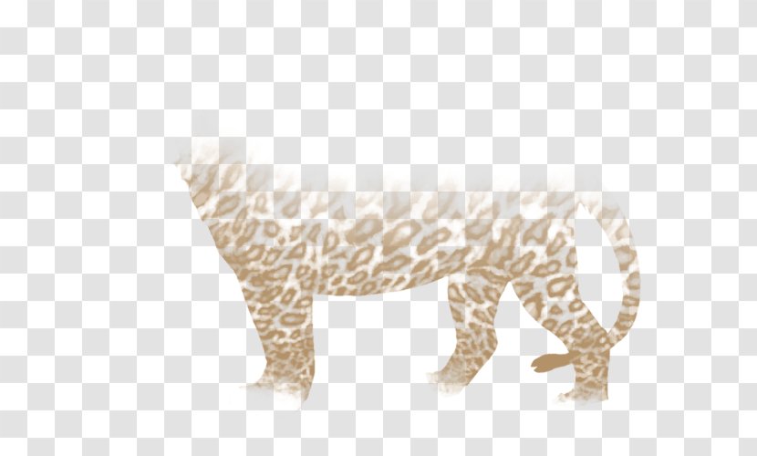 Leopard Big Cat Terrestrial Animal Wildlife - Mammal Transparent PNG