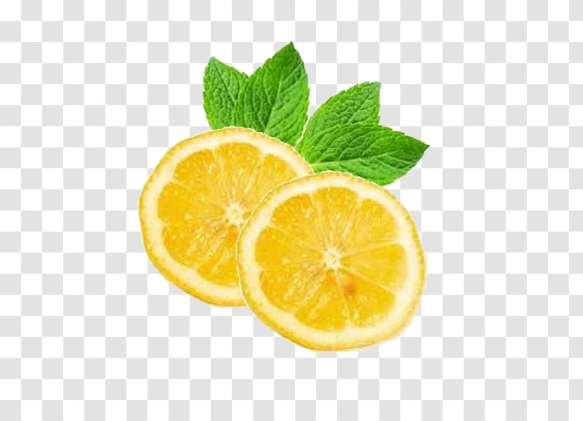 Lemon Keglevich Juice Food Vitamin C - Lime - LEMONbalm Transparent PNG
