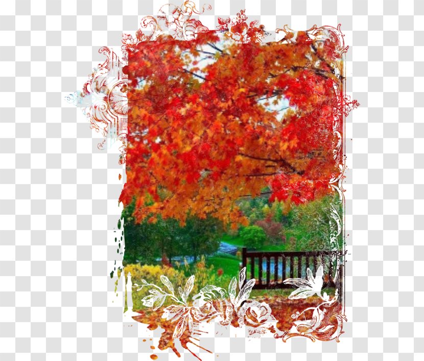 Maple Leaf Acrylic Paint Floral Design Transparent PNG