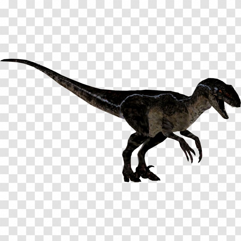 Zoo Tycoon 2: Marine Mania Velociraptor Tycoon: Dinosaur Digs Extinct Animals Tyrannosaurus - Feather - Jurassic Park Transparent PNG