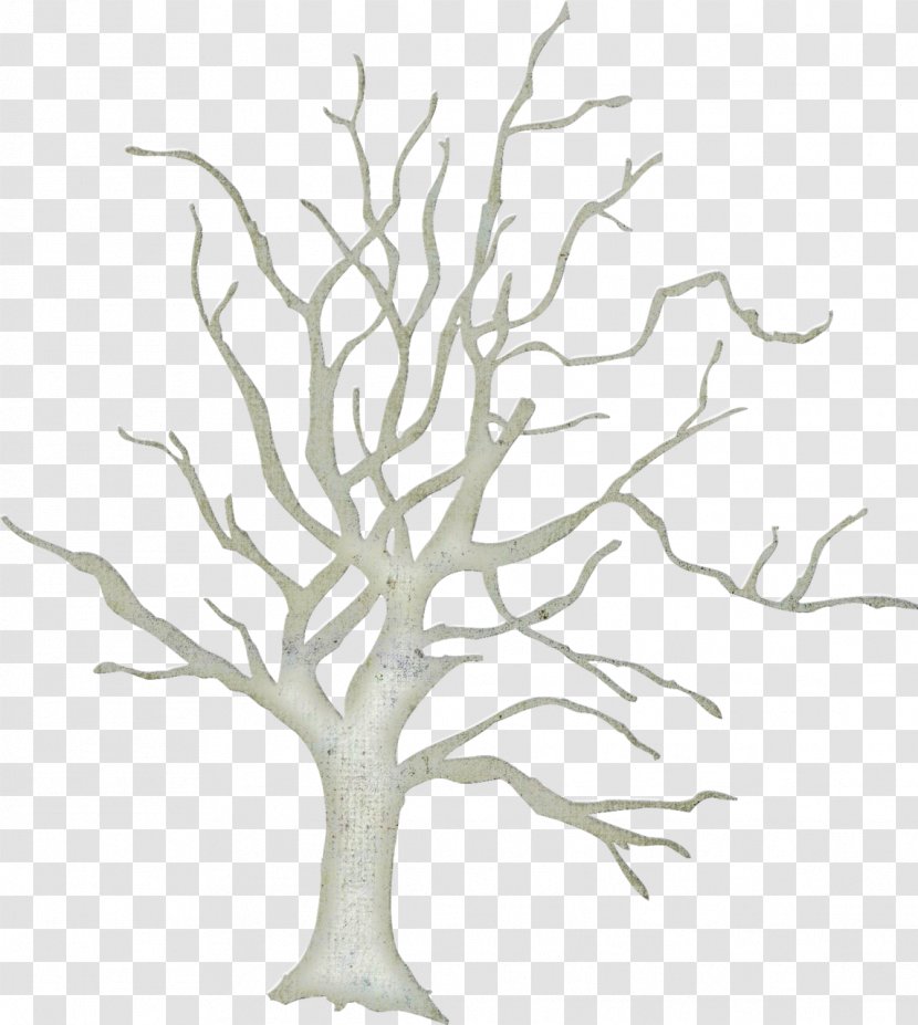 Plant Drawing Clip Art - Line Tree - Leaf Transparent PNG