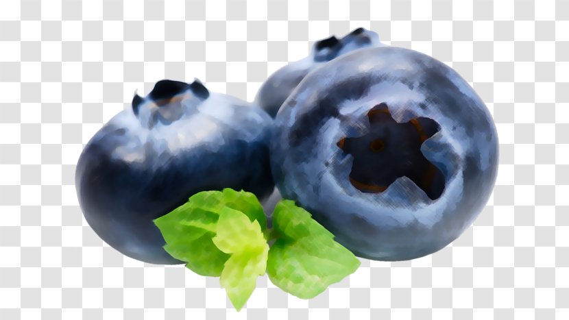 Blueberry Tea Bilberry Juice Food - Plant Transparent PNG
