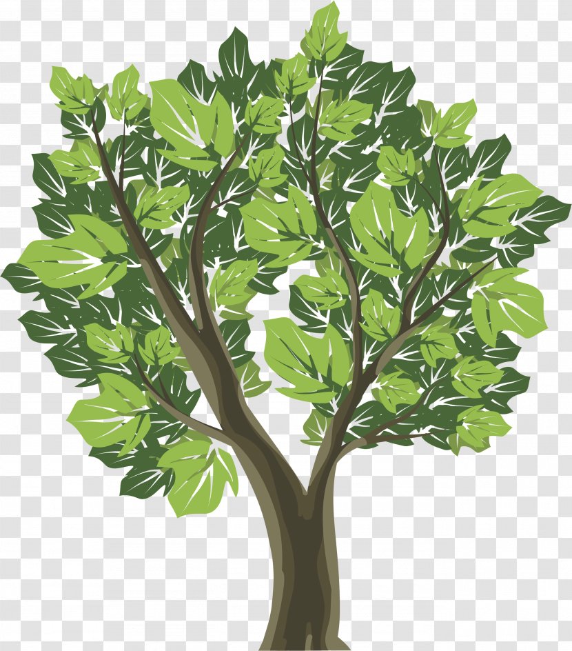 Tree Graphic Design Royalty-free - Photography Transparent PNG