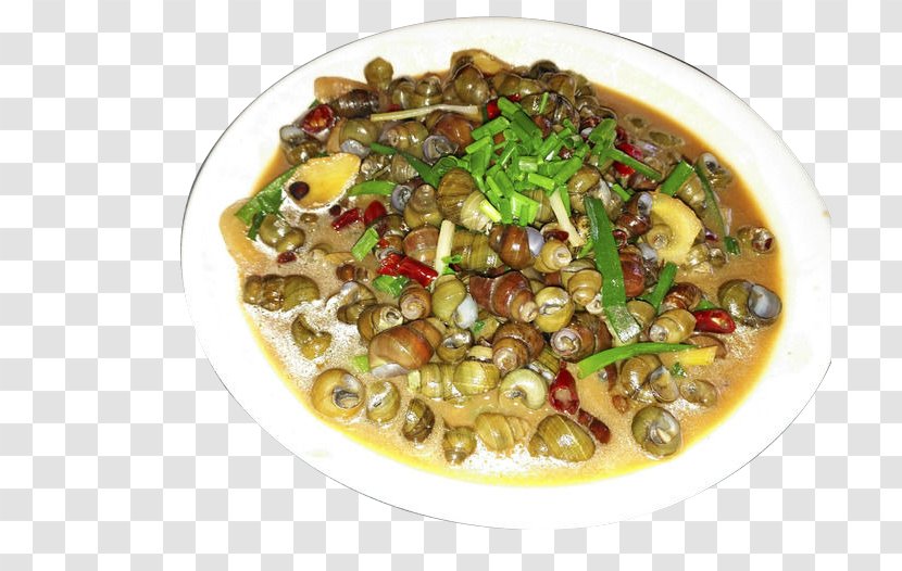 Vegetarian Cuisine Sea Snail Asian - Conch Pictures Transparent PNG