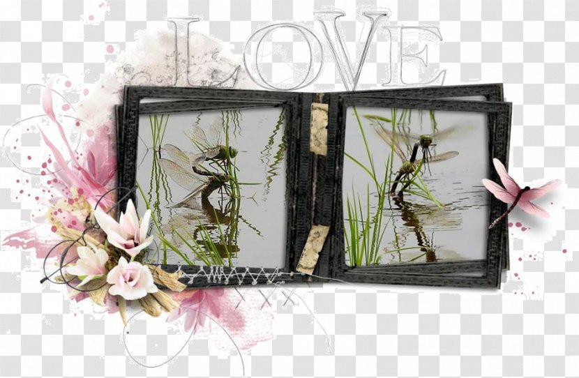 Artificial Flower Floral Design Picture Frames Transparent PNG