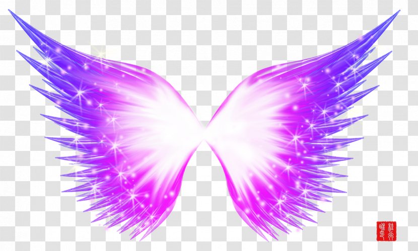 Purple Download - Moths And Butterflies - Beautiful Transparent Wings Transparent PNG