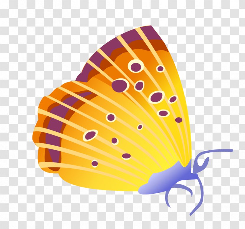 Butterfly Insect Cdr Euclidean Vector - Invertebrate Transparent PNG