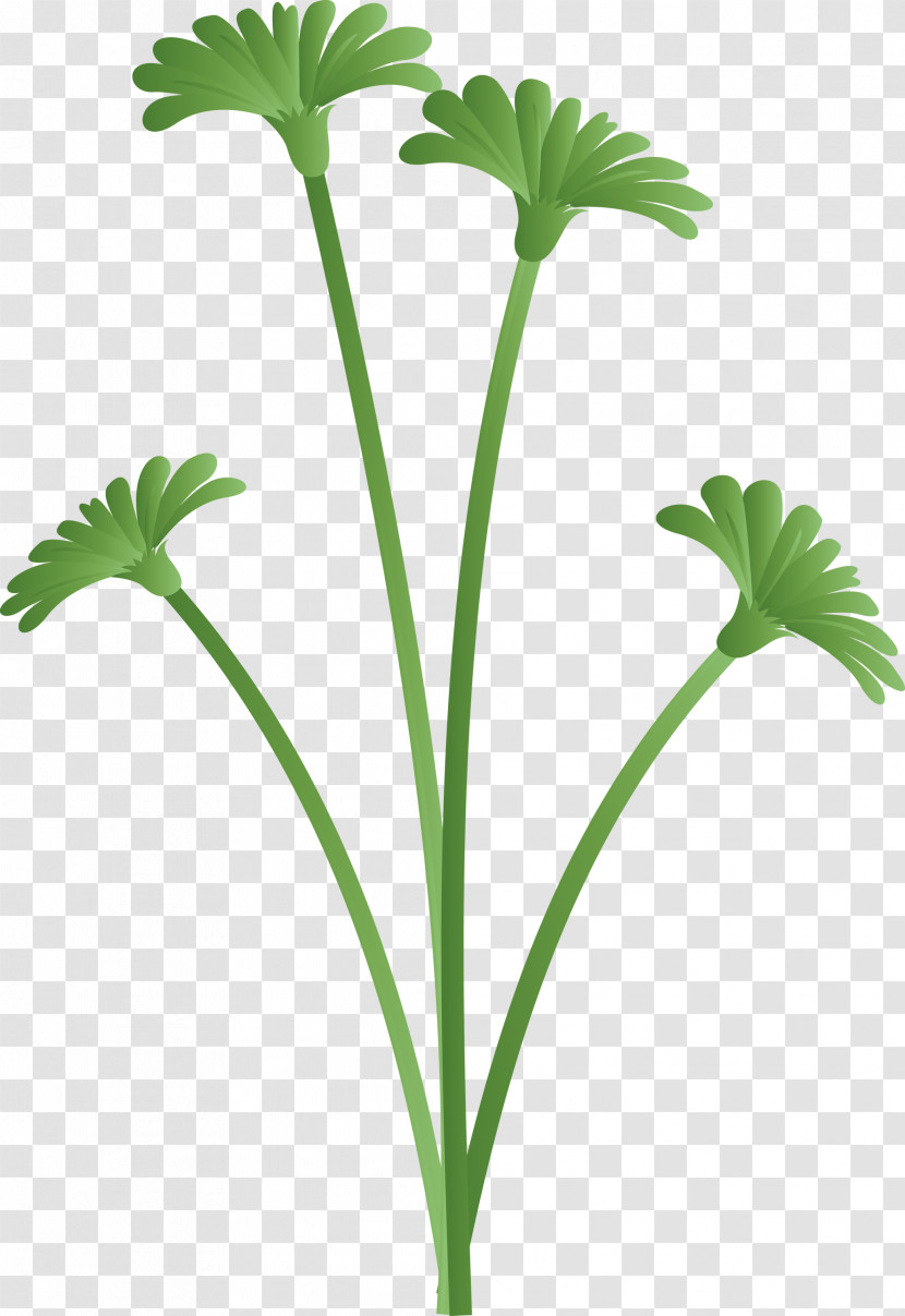 Dandelion Flower Transparent PNG