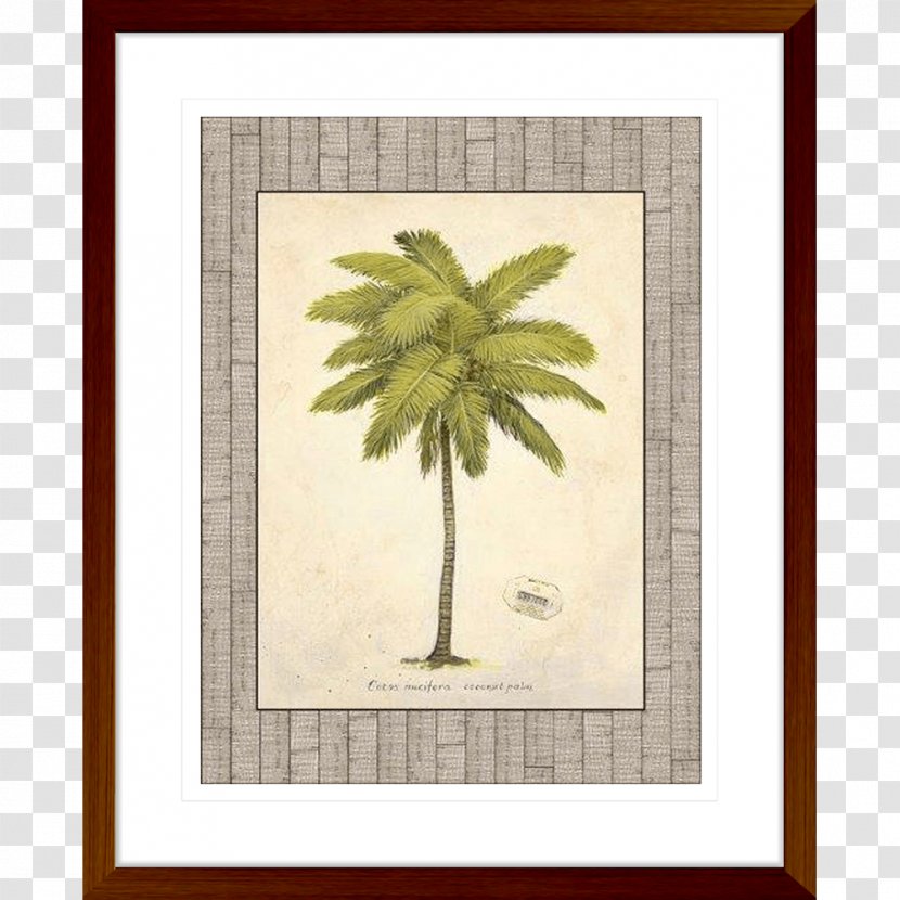 Coconut Art Tree Arecaceae Transparent PNG