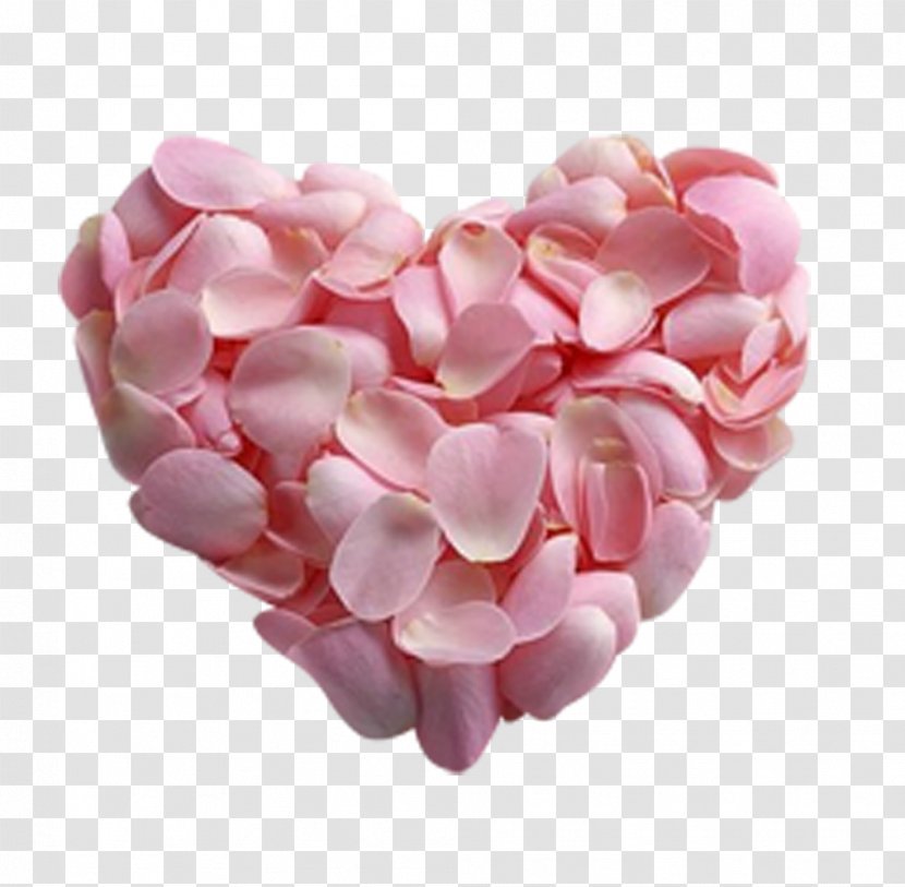 Petal Pink Rose Flower Heart - White Transparent PNG