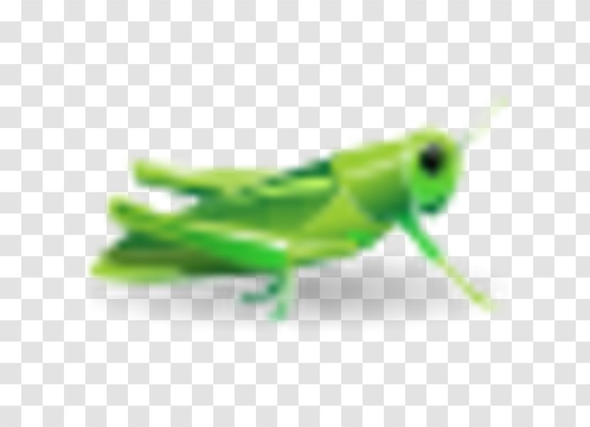 Insect Grasshopper Royalty-free Clip Art - Royaltyfree Transparent PNG