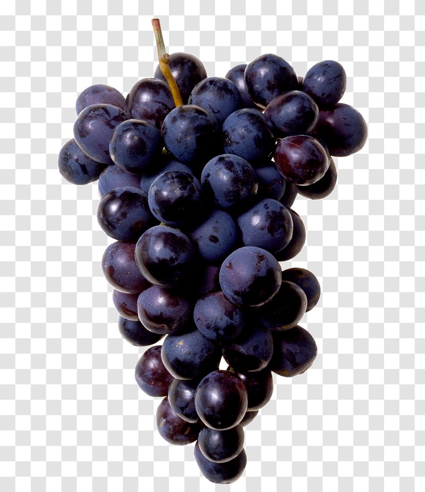 Juice Common Grape Vine Concord - Prune - A Bunch Of Grapes Transparent PNG