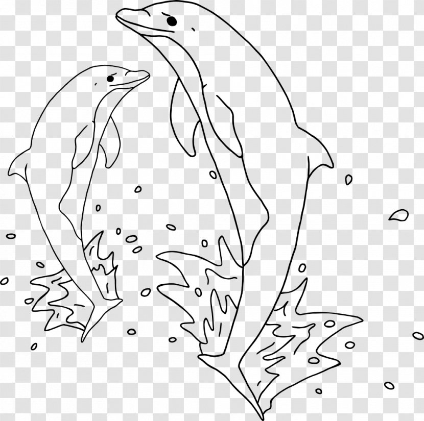 Dolphin Drawing Jumping Clip Art - Animal Transparent PNG