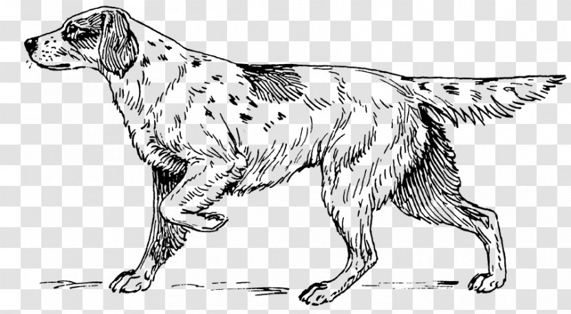 Puppy Great Dane Dachshund Greyhound Boxer - Dog Like Mammal Transparent PNG